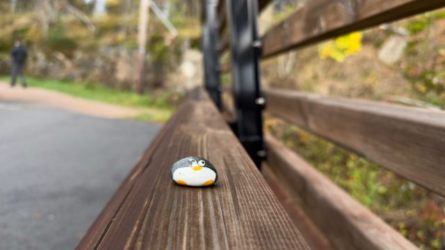 Hand-painted penguin stone #2358 hidden at Stone Wall near Bridge, Oslo, Norway