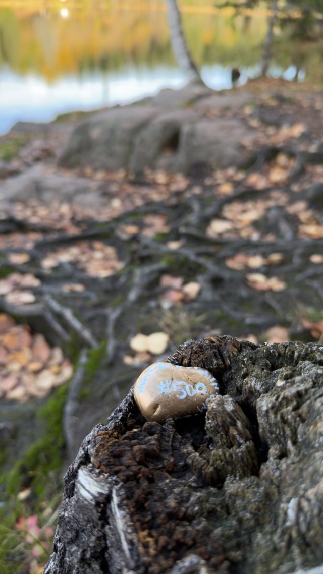 Hand-painted penguin stone #500 hidden at Rocks at Ovresetertjern, Oslo, Norway (photo 2 of 4)