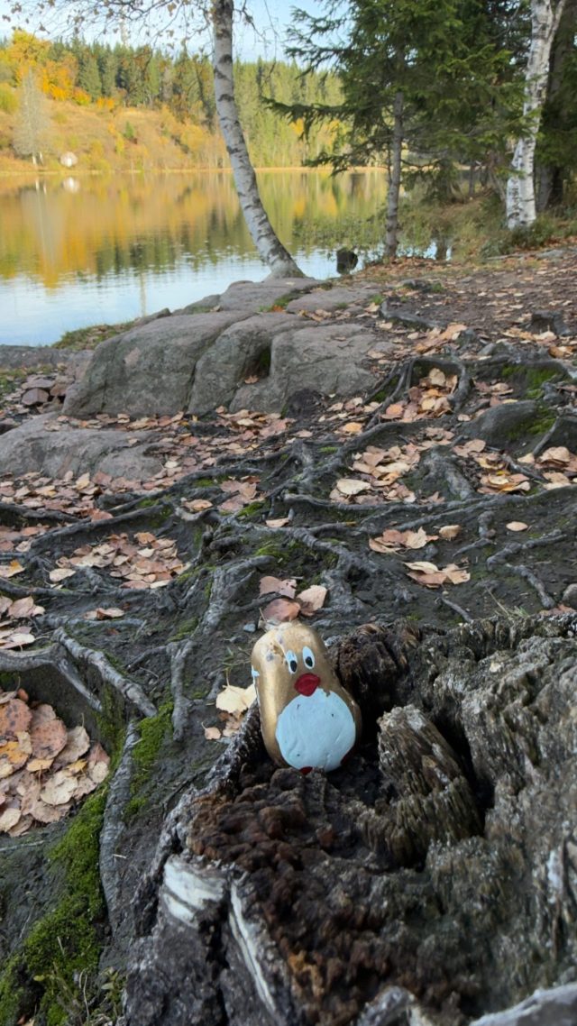 Hand-painted penguin stone #500 hidden at Rocks at Ovresetertjern, Oslo, Norway (photo 3 of 4)