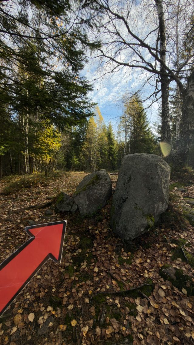 Hand-painted penguin stone #500 hidden at Rocks at Ovresetertjern, Oslo, Norway (photo 4 of 4)