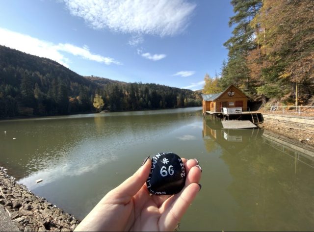 Hand-painted penguin stone #66 hidden at Lake Uhorna, Uhorna, Slovakia (photo 2 of 5)