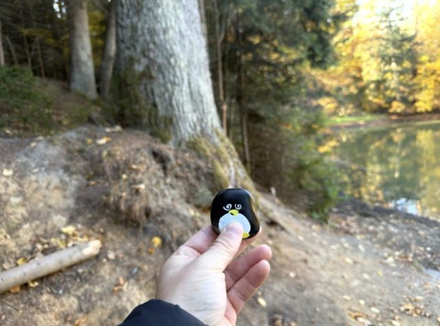 Hand-painted penguin stone #66 hidden at Lake Uhorna, Uhorna, Slovakia (photo 3 of 5)