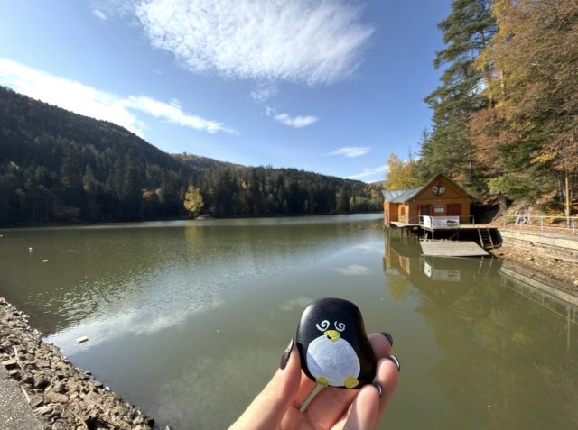 Hand-painted penguin stone #66 hidden at Lake Uhorna, Uhorna, Slovakia
