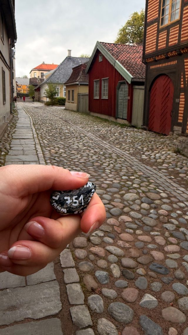 Hand-painted penguin stone #751 hidden at Old Pharmacy, Oslo, Norway (photo 3 of 5)