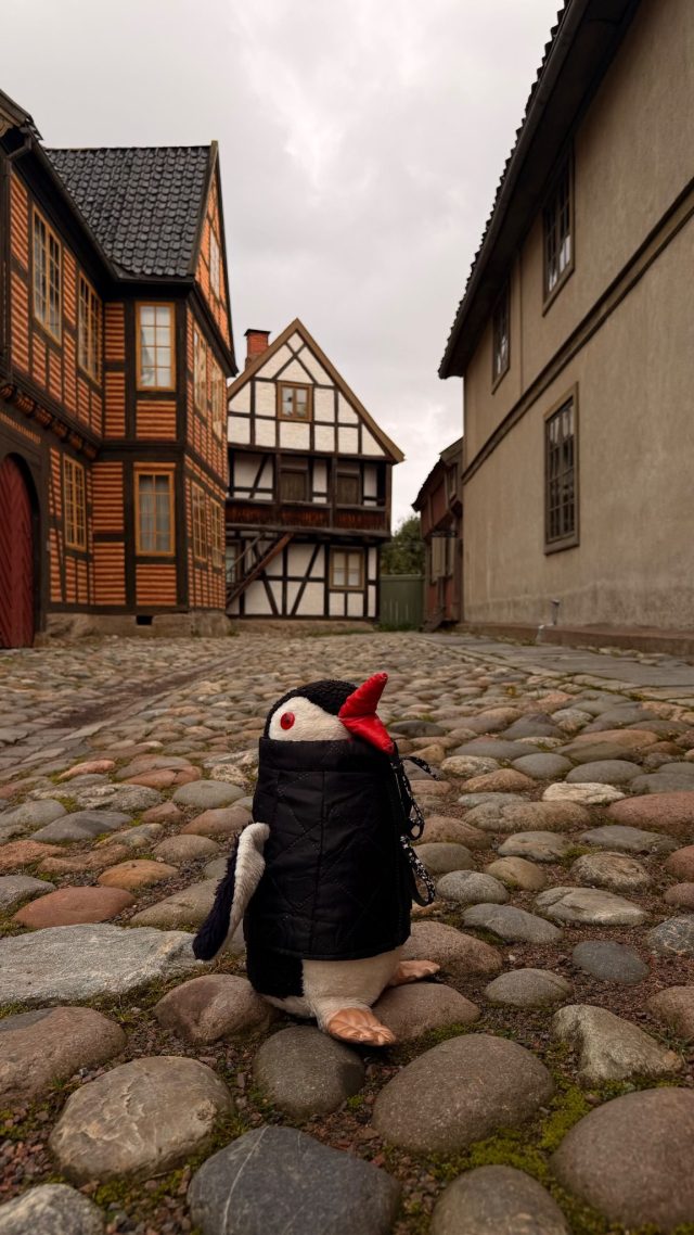 Hand-painted penguin stone #751 hidden at Old Pharmacy, Oslo, Norway (photo 5 of 5)