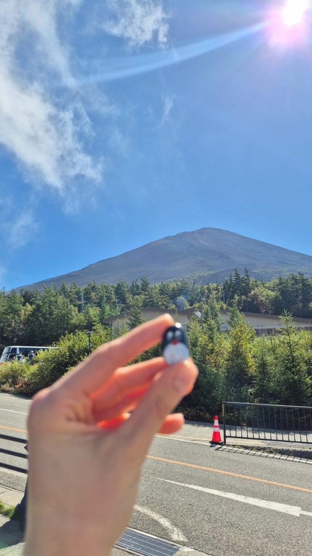 Hand-painted penguin stone #868 hidden at Mt. Fuji, Narusawa, Japan (photo 2 of 4)