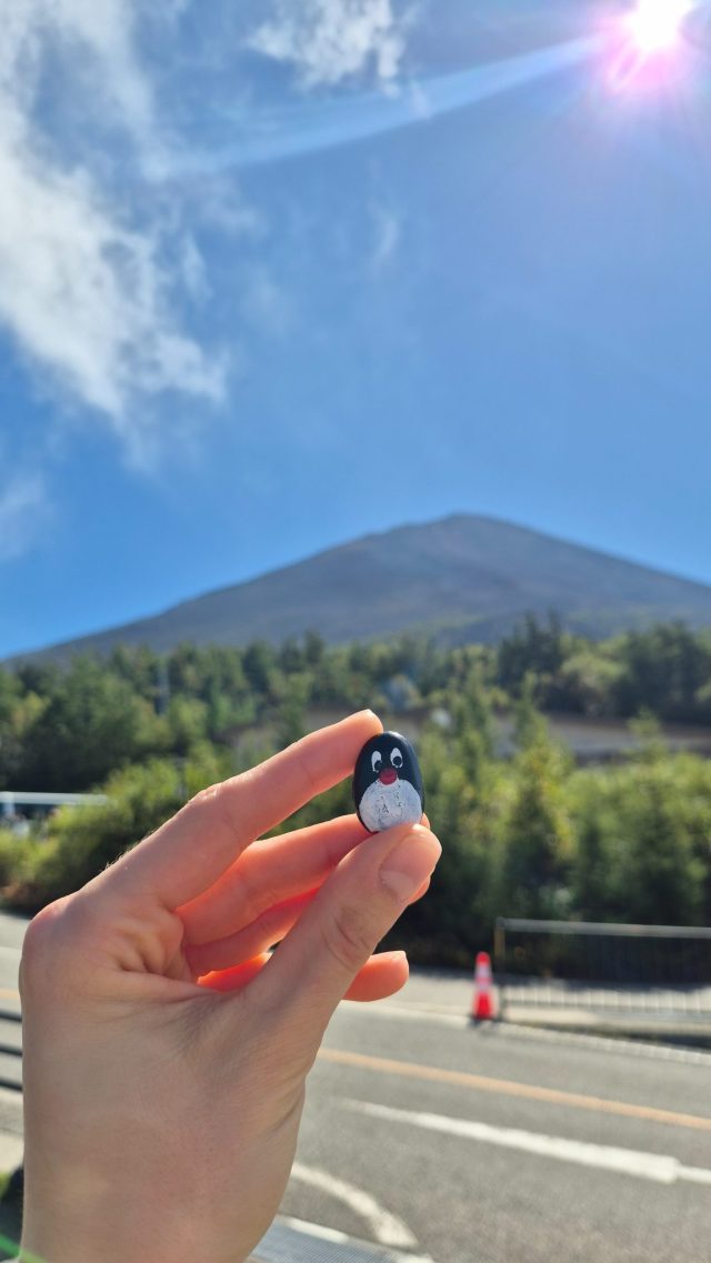 Hand-painted penguin stone #868 hidden at Mt. Fuji, Narusawa, Japan