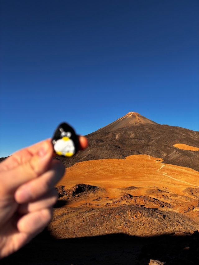 Hand-painted penguin stone #94 hidden at On the route to Pico Viejo, La Orotava, Spain (photo 2 of 5)