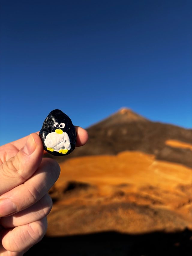 Hand-painted penguin stone #94 hidden at On the route to Pico Viejo, La Orotava, Spain (photo 3 of 5)