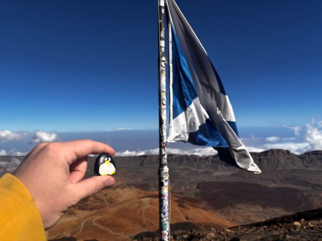 Hand-painted penguin stone #95 hidden at Right under the flag, Mount Teide, Santa Cruz de Tenerife, Spain (photo 3 of 5)