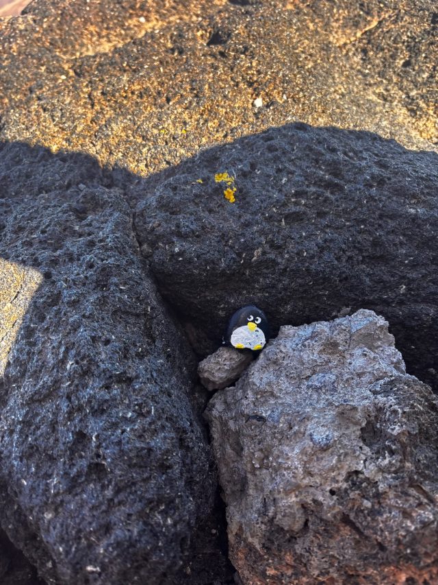 Hand-painted penguin stone #95 hidden at Right under the flag, Mount Teide, Santa Cruz de Tenerife, Spain (photo 4 of 5)