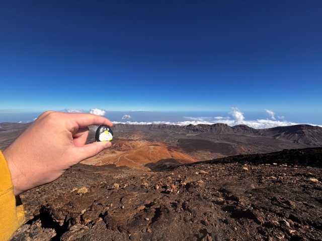 Hand-painted penguin stone #95 hidden at Right under the flag, Mount Teide, Santa Cruz de Tenerife, Spain (photo 5 of 5)