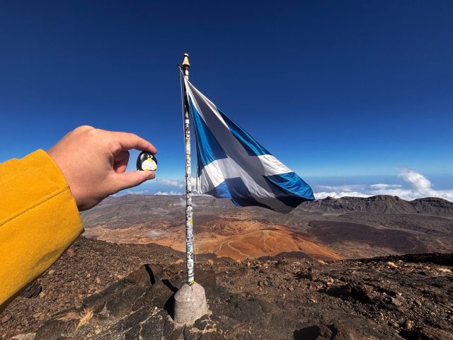 Hand-painted penguin stone #95 hidden at Right under the flag, Mount Teide, Santa Cruz de Tenerife, Spain