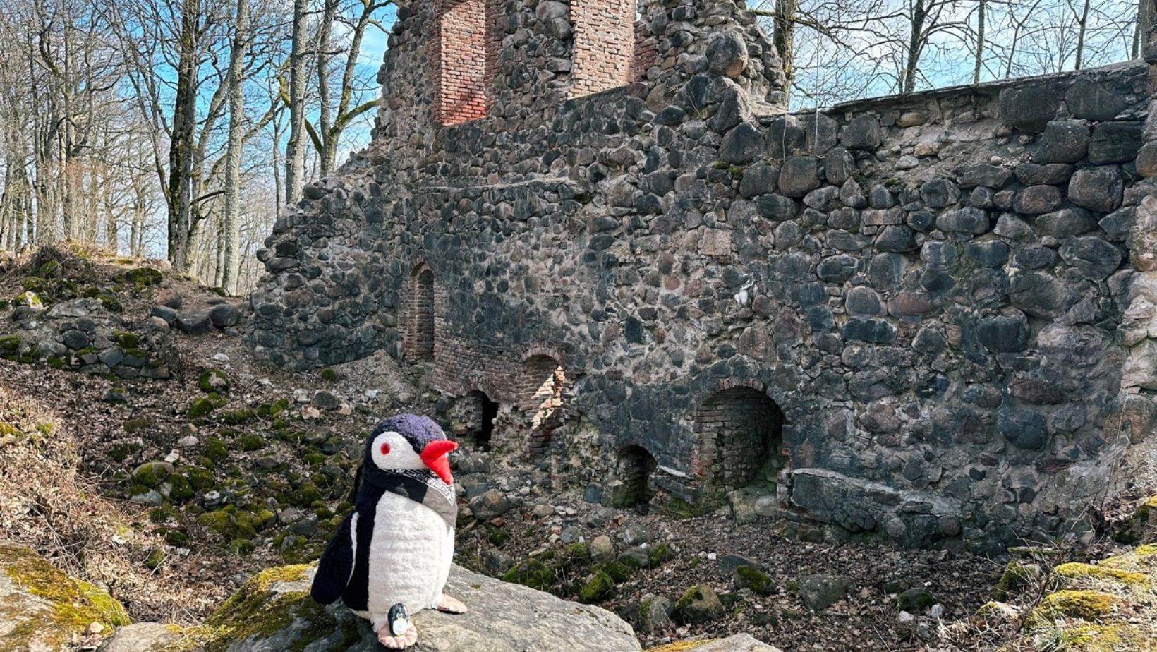 Hand-painted penguin stone #107 hidden at Krimulda Castle, Sigulda, Latvia (photo 1 of 5)