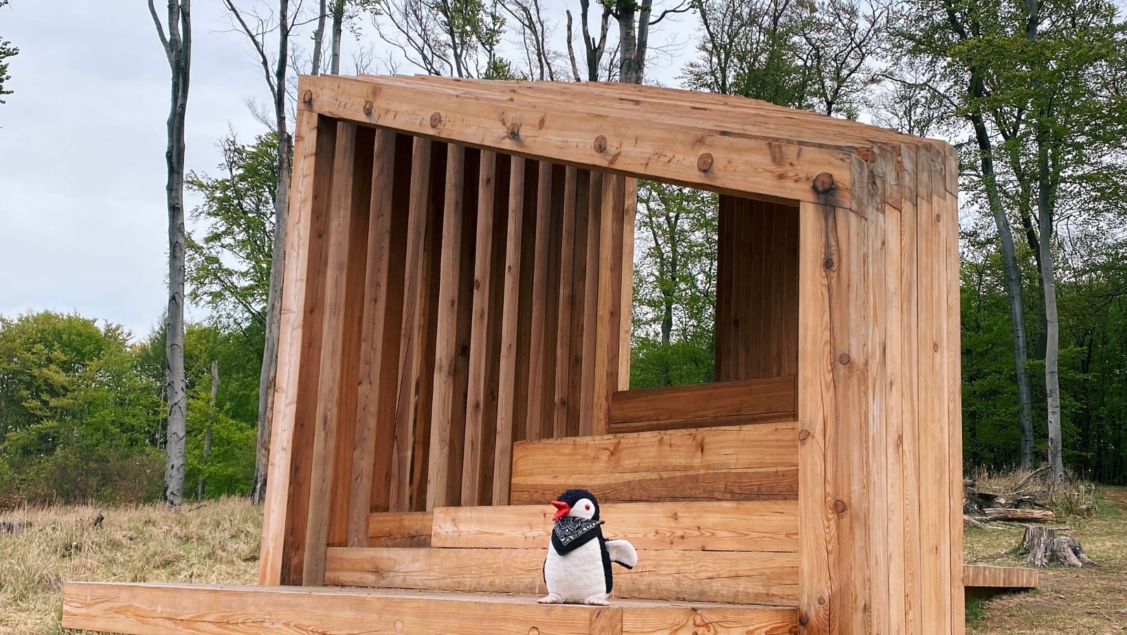 Hand-painted penguin stone #11 hidden at Vydrica, The Little Carpathians, Slovakia (photo 1 of 5)