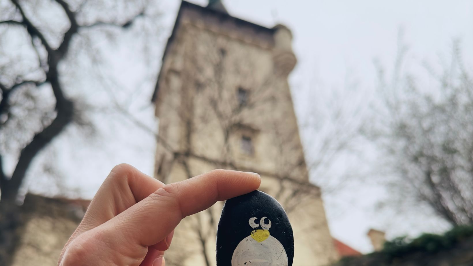 Hand-painted penguin stone #119 hidden at Pruhonice Chateau, Prague, Czechia (photo 1 of 5)