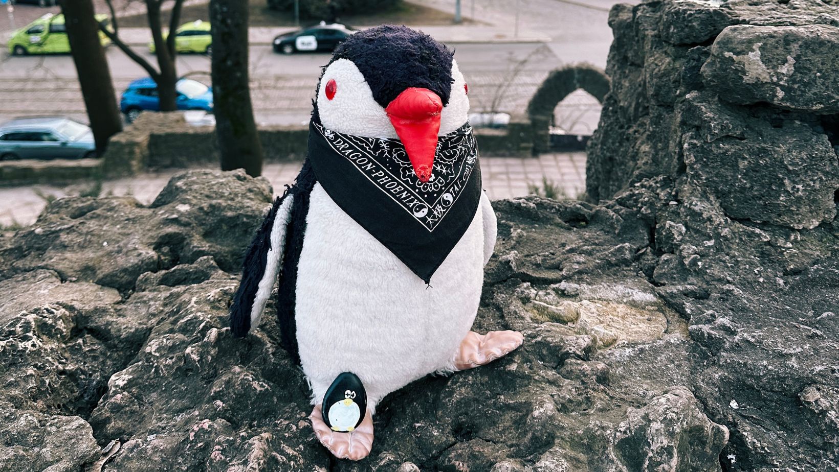 Hand-painted penguin stone #120 hidden at Bastejkalna Park, Riga, Latvia (photo 1 of 4)