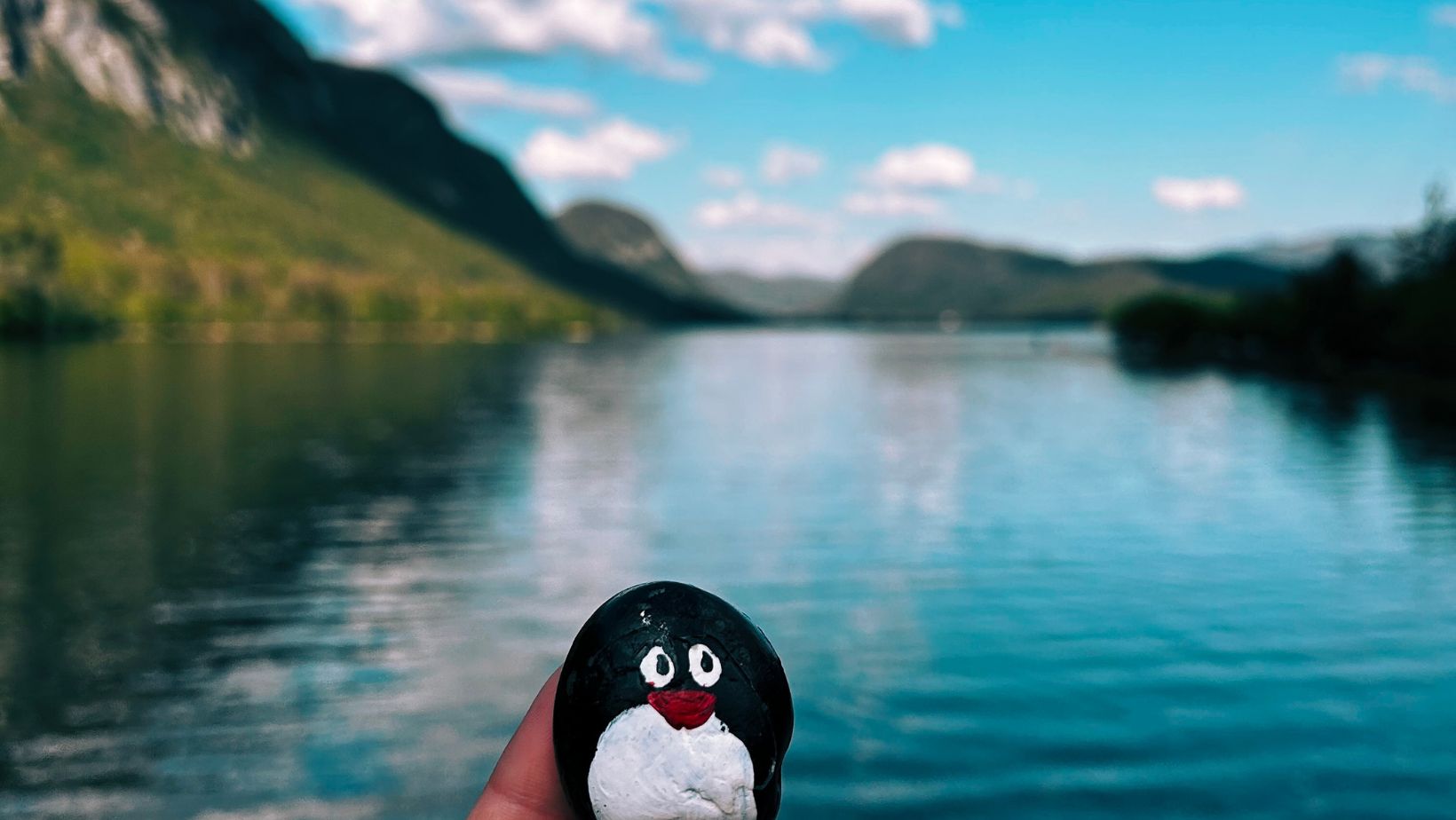 Hand-painted penguin stone #126 hidden at Bohinj Lake, Bohinj Valley, Slovenia (photo 1 of 5)