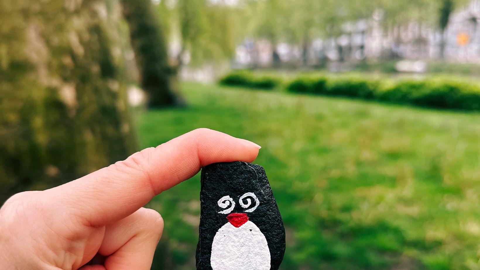 Hand-painted penguin stone #150 hidden at Weteringplantsoen, Amsterdam, Netherlands (photo 1 of 5)