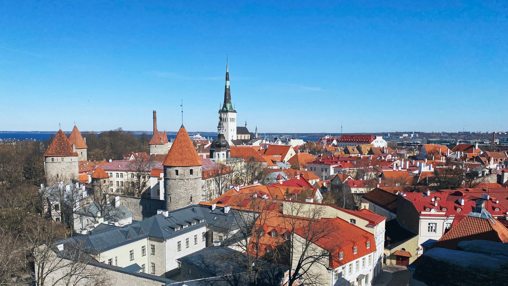 Hand-painted penguin stone #24 hidden at Piiskopi Observation Platform, Tallinn, Estonia (photo 1 of 5)