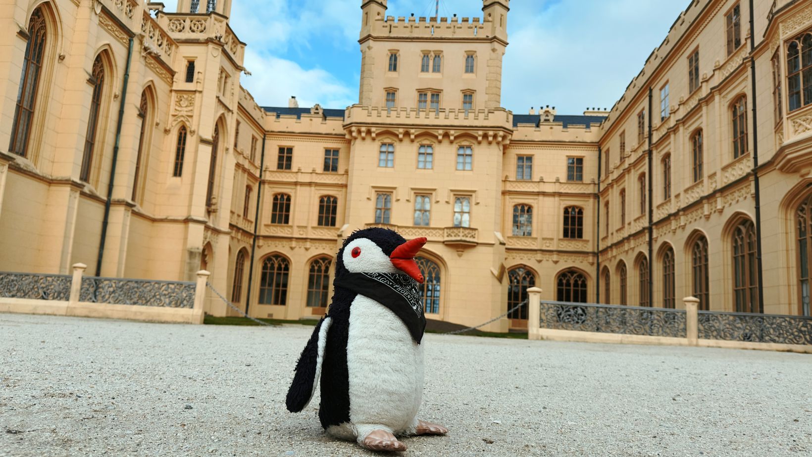 Hand-painted penguin stone #32 hidden at Lednice Castle, Lednice, Czechia (photo 1 of 5)