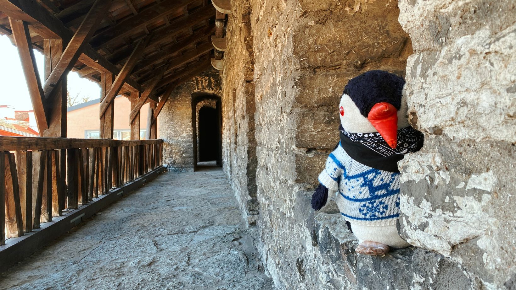 Hand-painted penguin stone #34 hidden at Sauna Tower, Tallinn, Estonia (photo 1 of 5)
