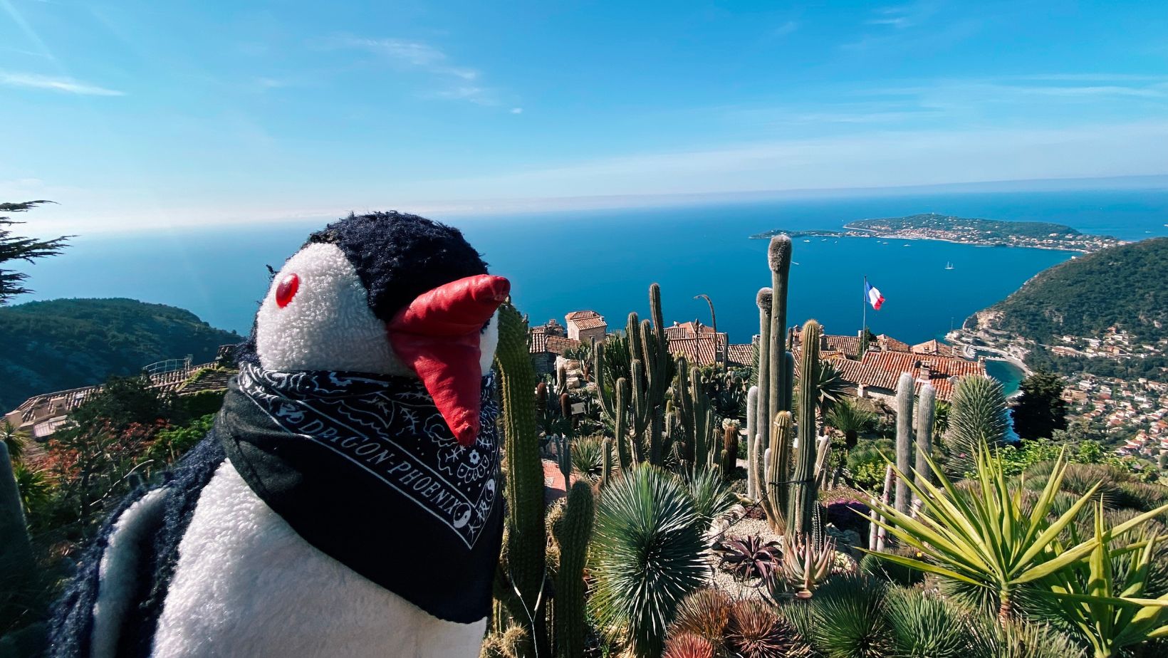 Hand-painted penguin stone #36 hidden at Le Jardin Exotique d'Eze, Eze, France (photo 1 of 5)
