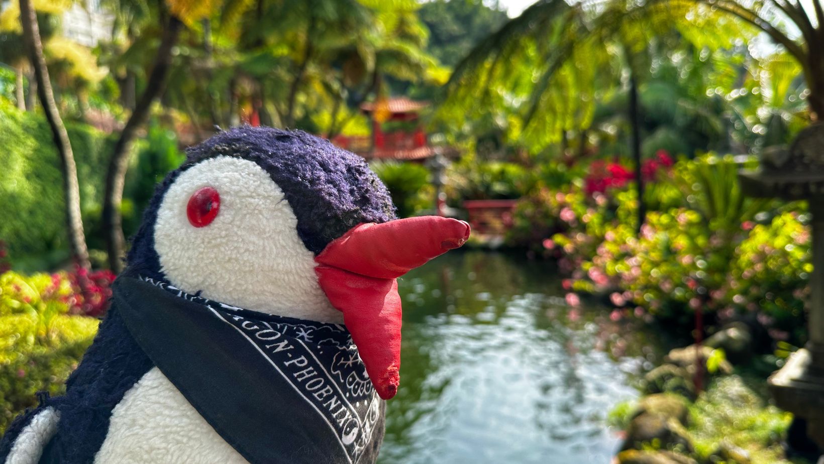 Hand-painted penguin stone #48 hidden at Monte Palace Tropical Garden, Funchal, Portugal (photo 1 of 5)
