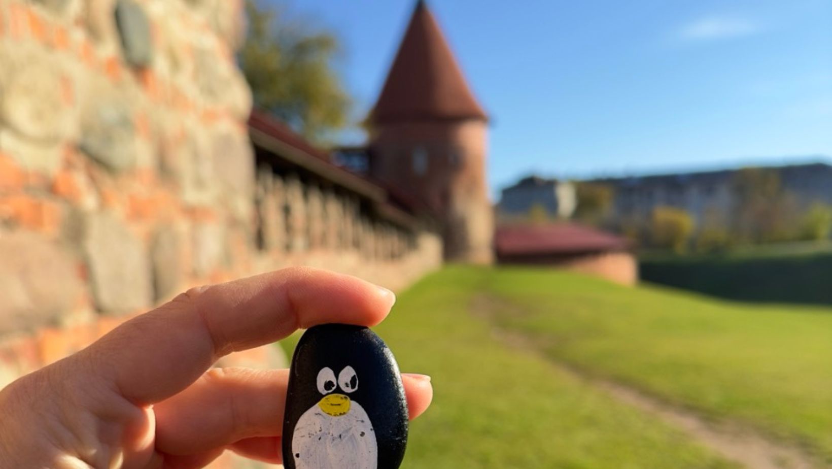 Hand-painted penguin stone #52 hidden at Kaunas Castle, Kaunas, Lithuania (photo 1 of 5)