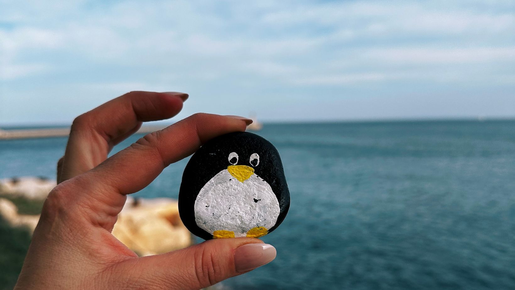 Hand-painted penguin stone #55 hidden at Waterfront, Valletta, Malta (photo 1 of 5)