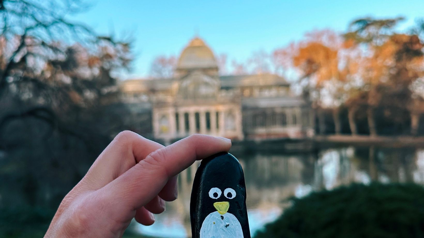 Hand-painted penguin stone #70 hidden at The Glass Palace, Madrid, Spain (photo 1 of 2)