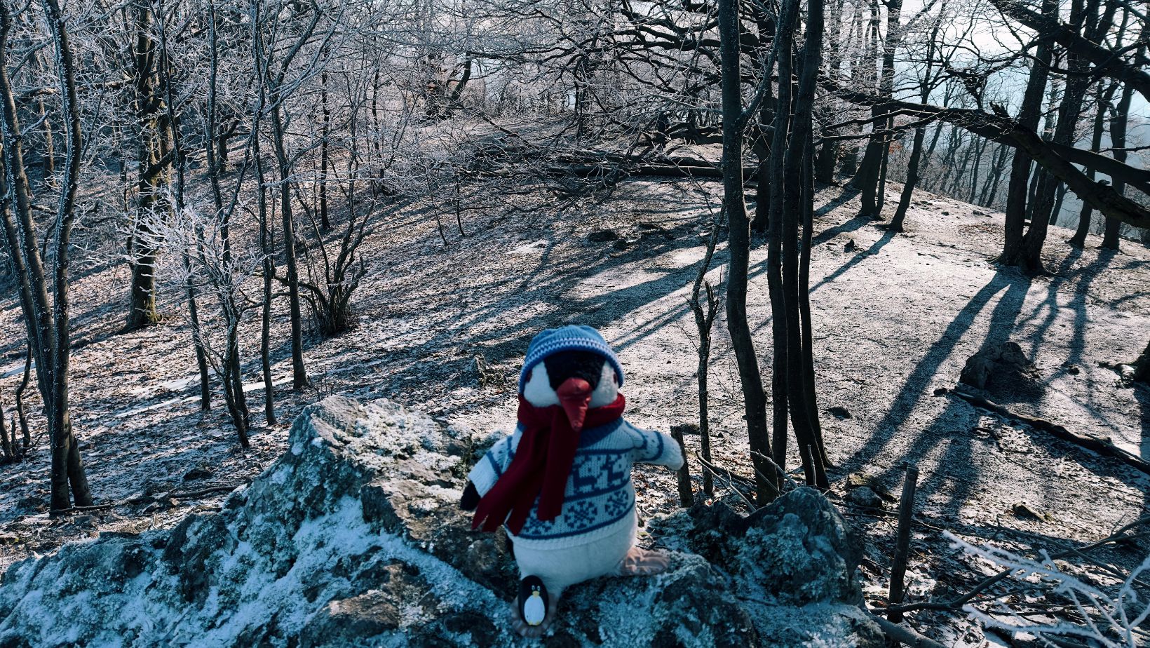 Hand-painted penguin stone #73 hidden at Zaruby, Smolenice, Slovakia (photo 1 of 5)