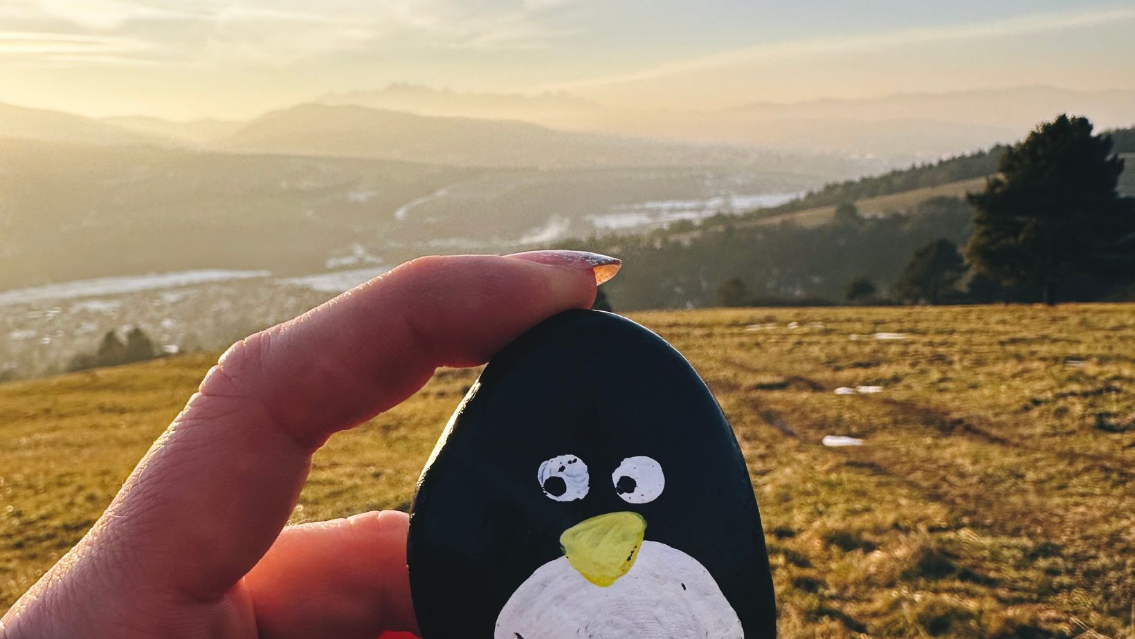 Hand-painted penguin stone #74 hidden at Chmelnica, Presov Region, Slovakia (photo 1 of 5)