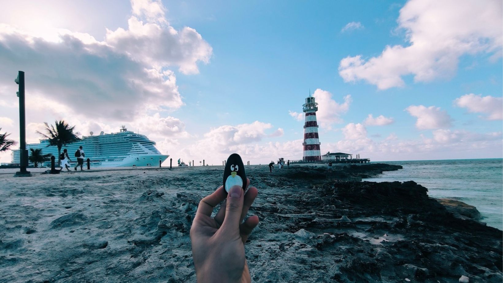 Hand-painted penguin stone #80 hidden at MSC Marine Reserve, Ocean Cay, Bahamas (photo 1 of 5)