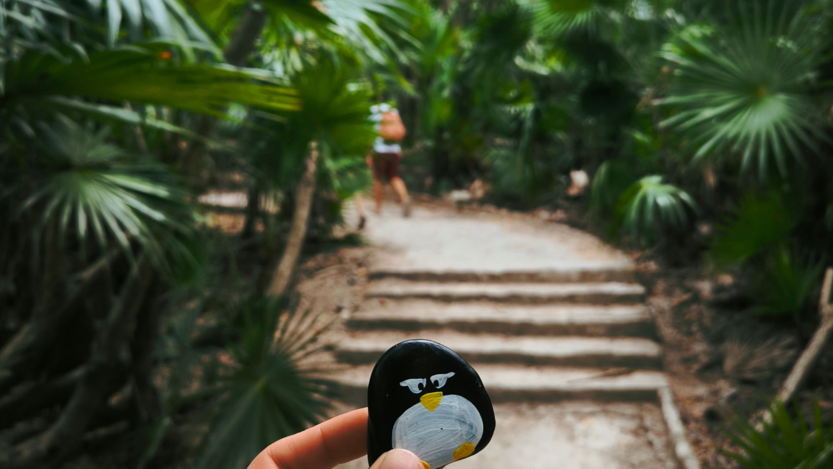 Hand-painted penguin stone #81 hidden at Tulum National Park, Tulum, Mexico (photo 1 of 5)