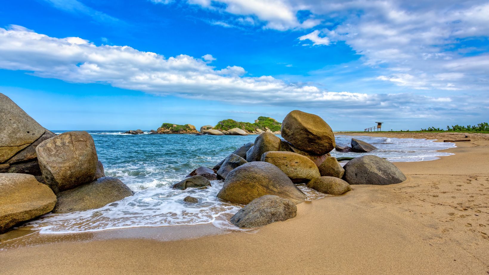Hand-painted penguin stone #9 hidden at Tayrona National Park, Santa Marta, Colombia (photo 1 of 5)