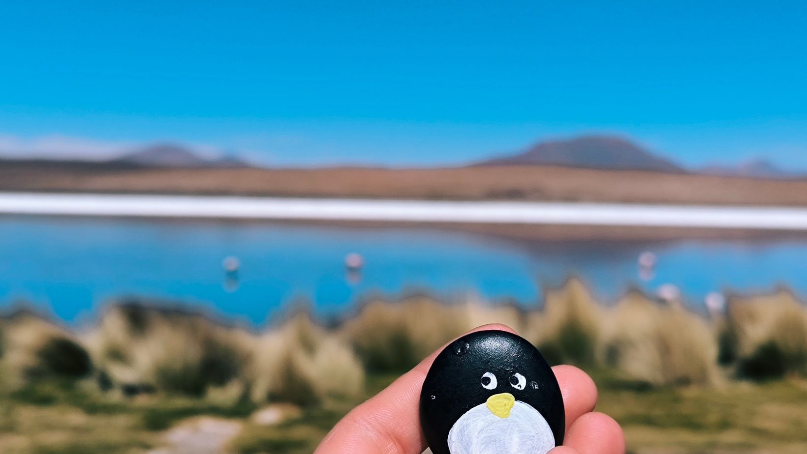 Hand-painted penguin stone #98 hidden at Canapa Lake, Bolivia, Bolivia (photo 1 of 5)