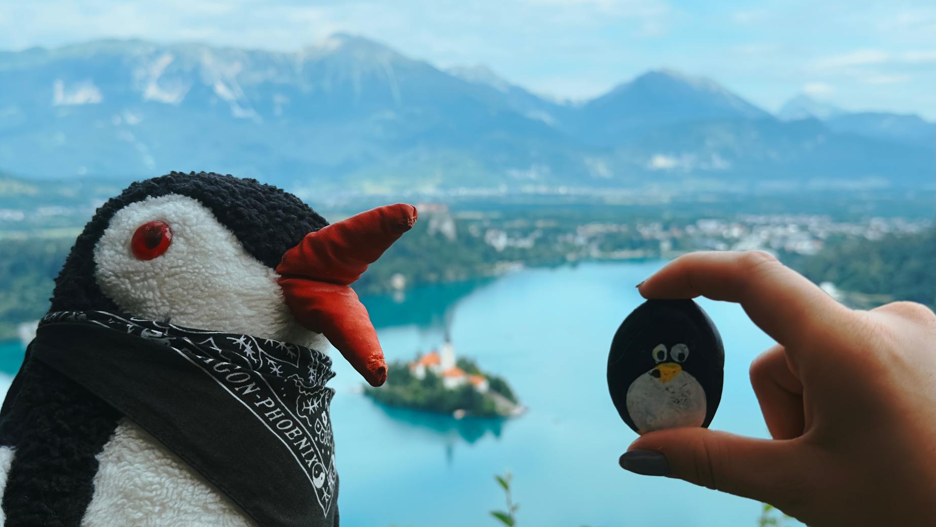 Hand-painted penguin stone #123 hidden at Osojnica, Bled, Slovenia (photo 1 of 5)