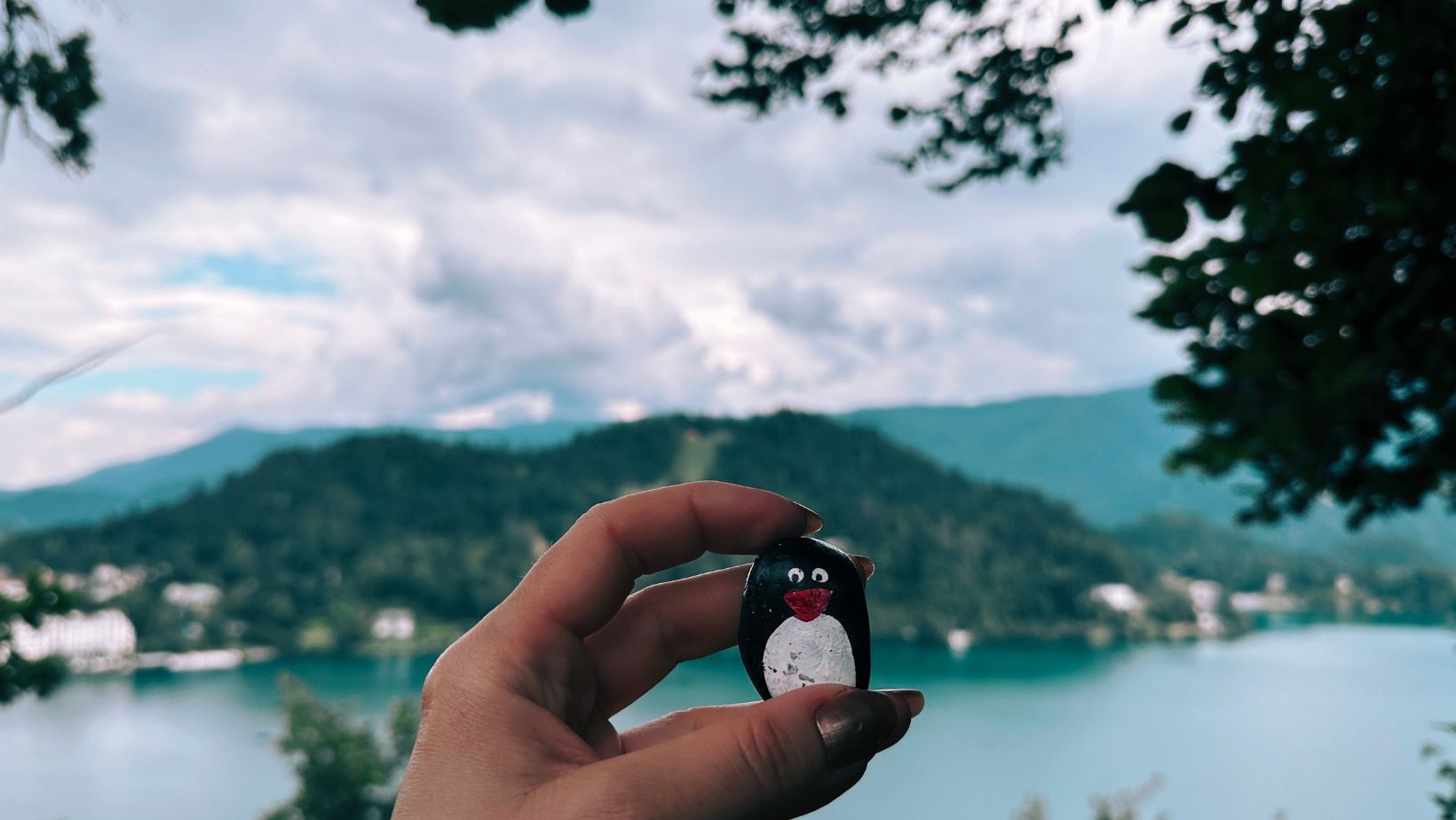 Hand-painted penguin stone #139 hidden at Bled Castle, Bled, Slovenia (photo 1 of 5)