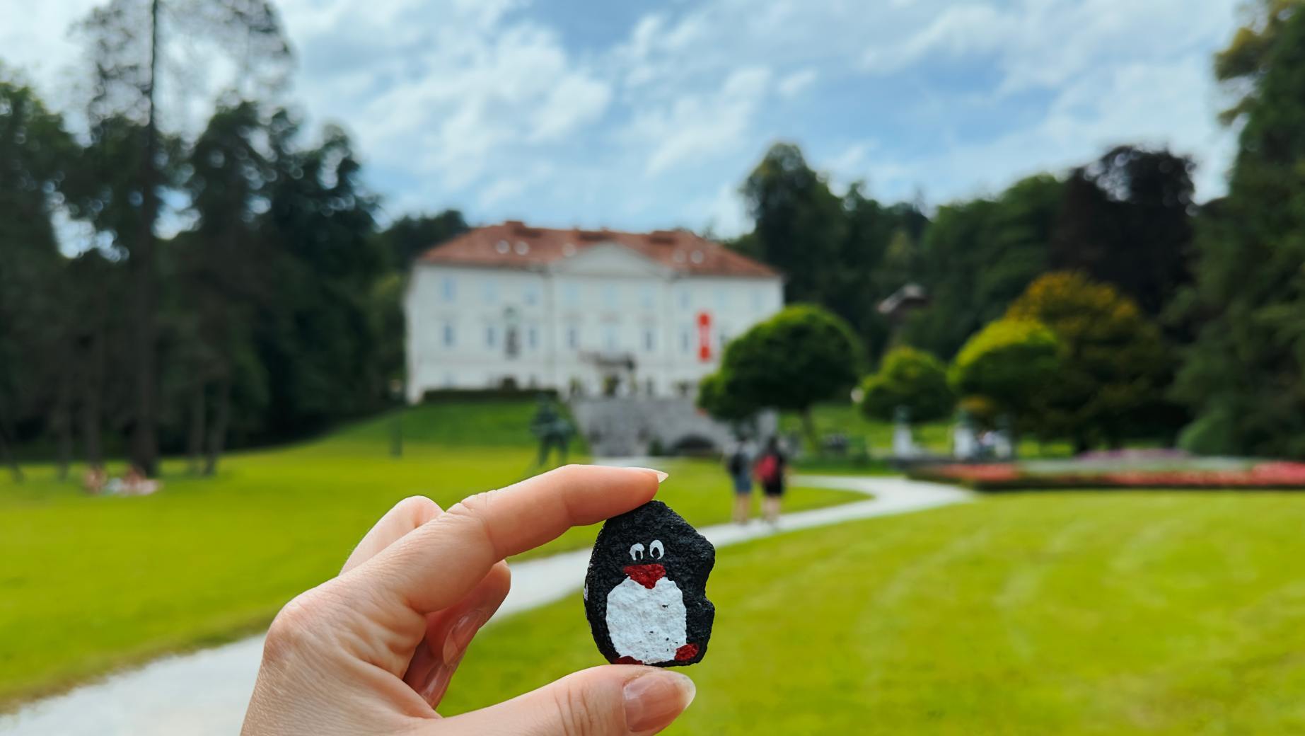 Hand-painted penguin stone #140 hidden at Tivoli Park, Ljubljana, Slovenia (photo 1 of 5)