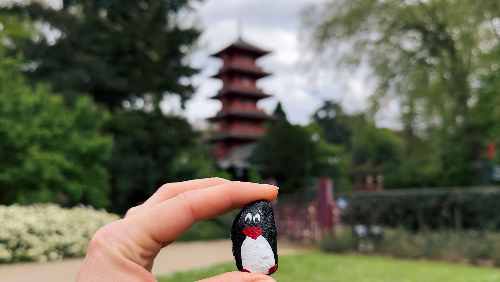 Hand-painted penguin stone #175 hidden at Museums of the Far East, Brussels, Belgium (photo 1 of 5)