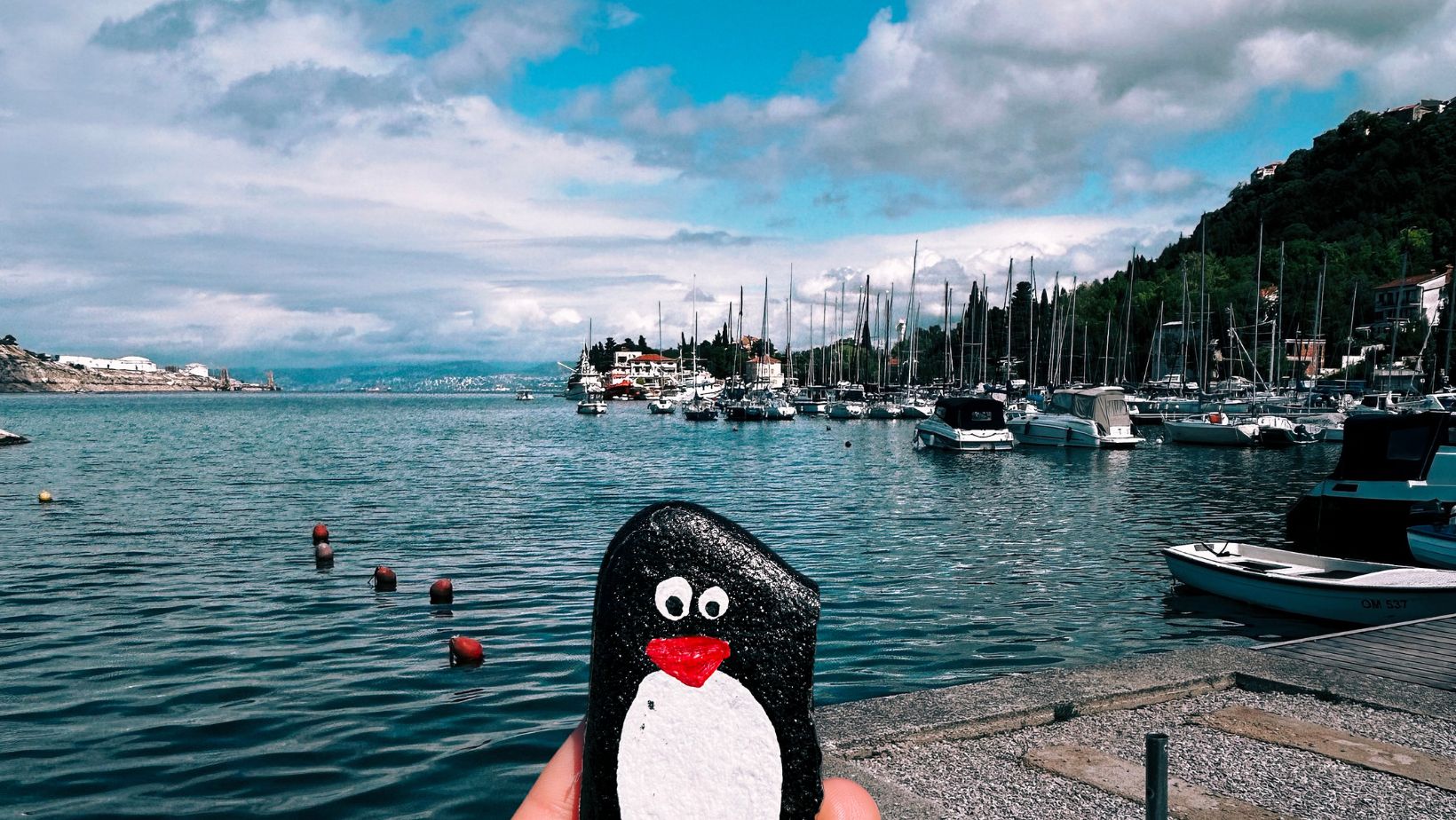 Hand-painted penguin stone #191 hidden at Omisalj, Omisalj, Croatia (photo 1 of 5)