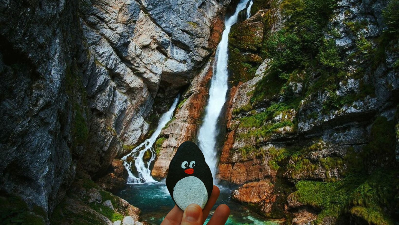 Hand-painted penguin stone #201 hidden at Slap Mostice, Voje Valley, Slovenia (photo 1 of 5)
