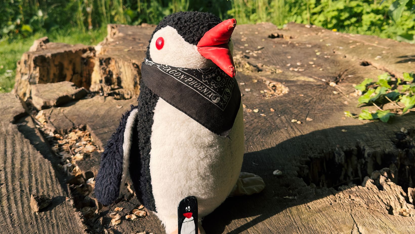 Hand-painted penguin stone #227 hidden at Vondelpark, Amsterdam, Netherlands (photo 1 of 5)