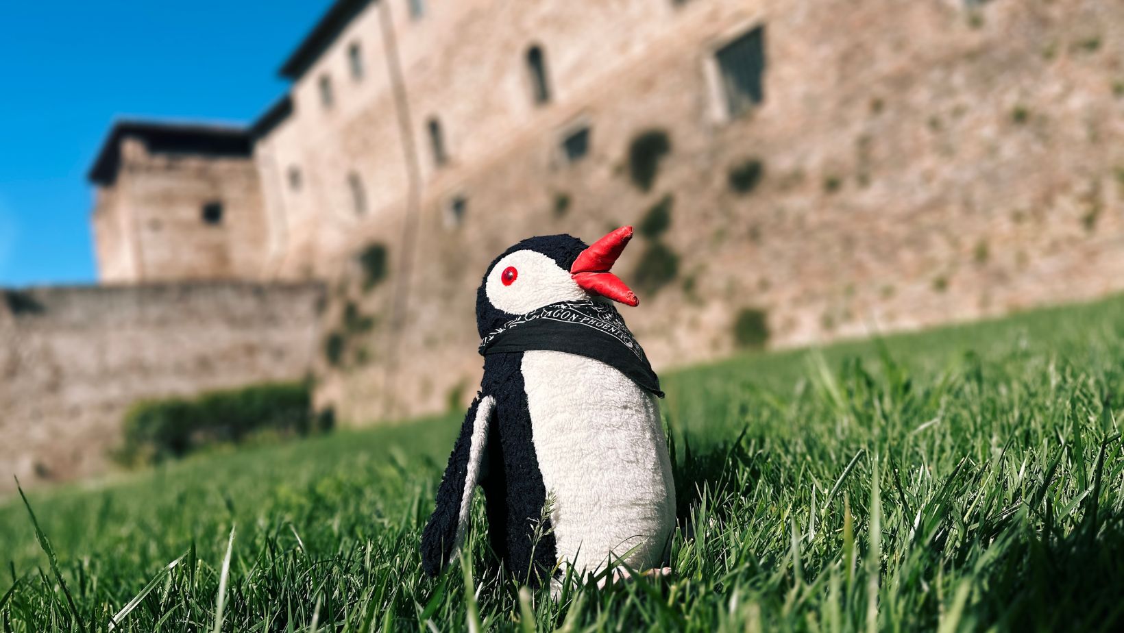 Hand-painted penguin stone #260 hidden at Castel Sismondo, Rimini, Italy (photo 1 of 5)