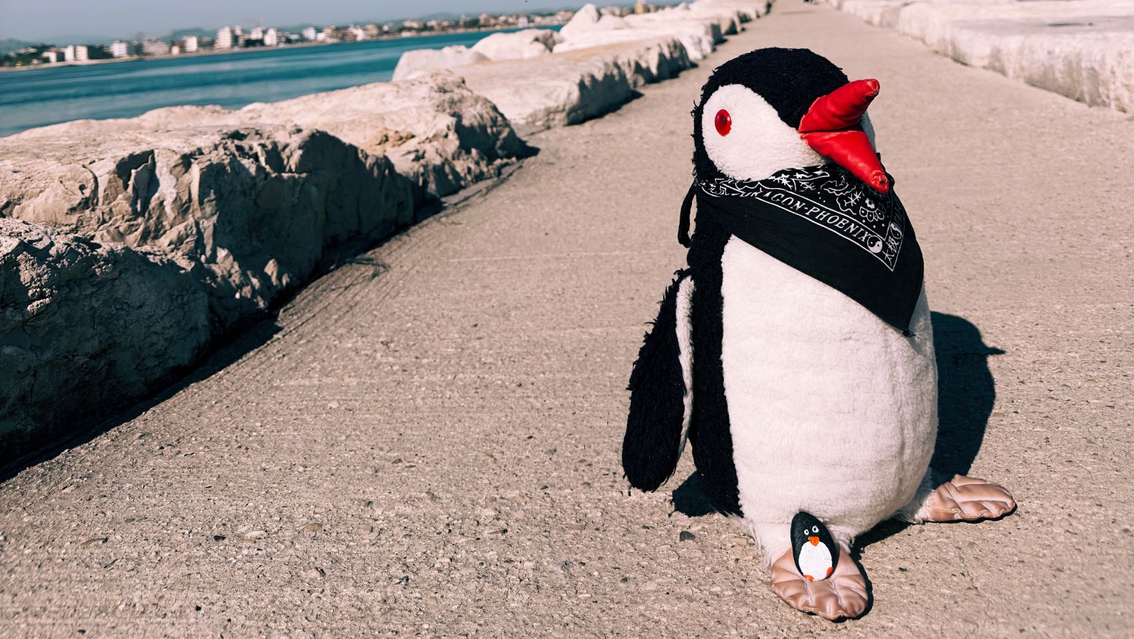 Hand-painted penguin stone #264 hidden at Parco Federico Fellini, Rimini, Italy (photo 1 of 5)