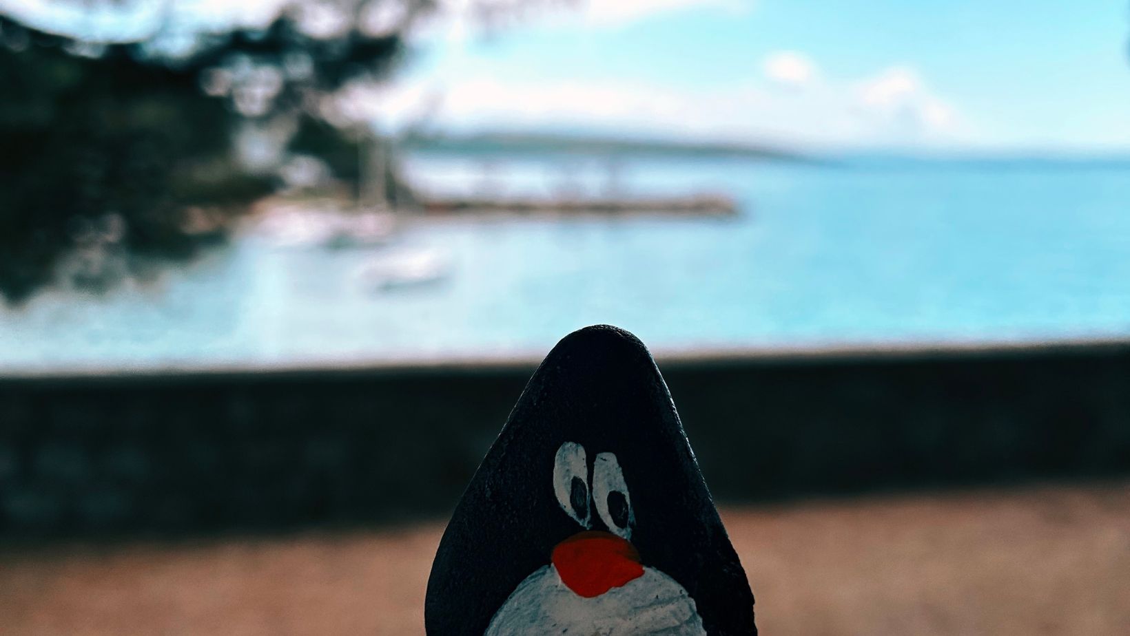 Hand-painted penguin stone #280 hidden at Beach, Krk, Croatia (photo 1 of 5)