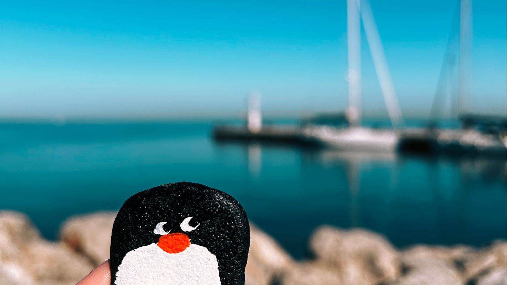 Hand-painted penguin stone #291 hidden at Mandrac, Izola, Slovenia (photo 1 of 4)