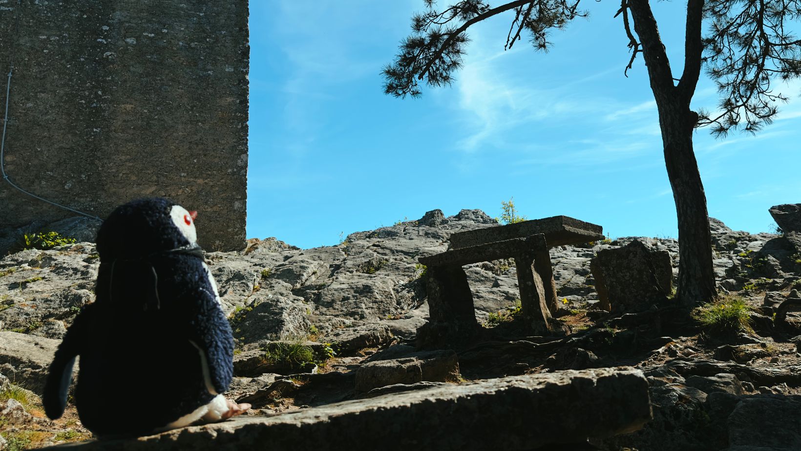 Hand-painted penguin stone #298 hidden at Castle of the Cesta, San Marino, San Marino (photo 1 of 5)