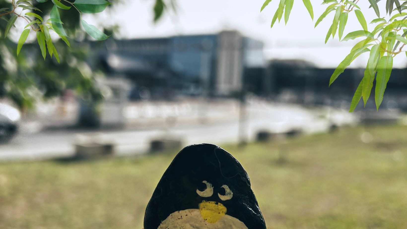 Hand-painted penguin stone #110 hidden at International Airport, Bucharest, Romania (photo 1 of 5)